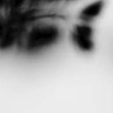 Shadow Calligraphy 46