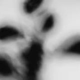 Shadow Calligraphy 47