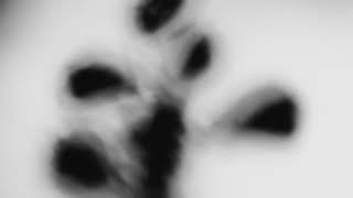 Shadow Calligraphy 47