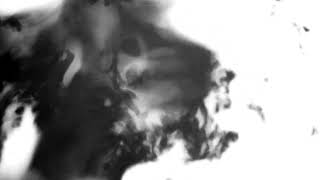 Shadow Calligraphy 48