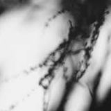 Shadow Calligraphy 49