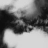 Shadow Calligraphy 5