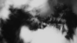 Shadow Calligraphy 5