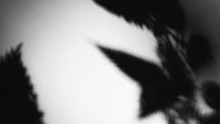 Shadow Calligraphy 50