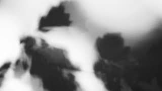 Shadow Calligraphy 51