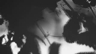 Shadow Calligraphy 52