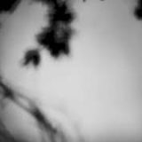 Shadow Calligraphy 53