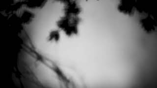 Shadow Calligraphy 53