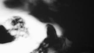 Shadow Calligraphy 54