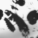 Shadow Calligraphy 55