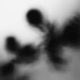 Shadow Calligraphy 56