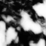 Shadow Calligraphy 57