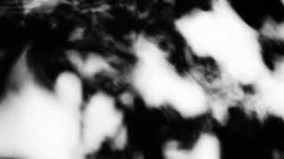 Shadow Calligraphy 57