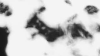 Shadow Calligraphy 58