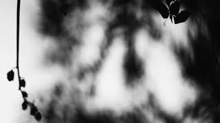 Shadow Calligraphy 59