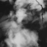 Shadow Calligraphy 6