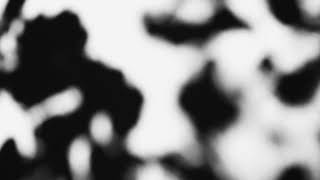 Shadow Calligraphy 60