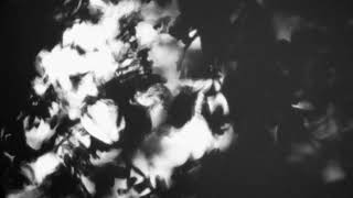 Shadow Calligraphy 61