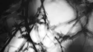 Shadow Calligraphy 62