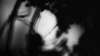 Shadow Calligraphy 63