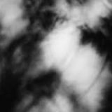 Shadow Calligraphy 64