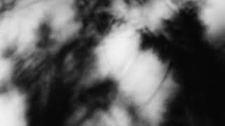 Shadow Calligraphy 64