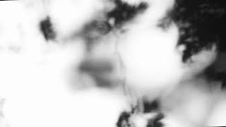 Shadow Calligraphy 9