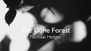 The Gone Forest