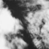 Shadow Calligraphy 10