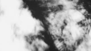 Shadow Calligraphy 10