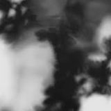 Shadow Calligraphy 11