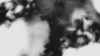 Shadow Calligraphy 11