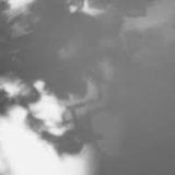 Shadow Calligraphy 12