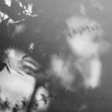 Shadow Calligraphy 13