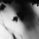 Shadow Calligraphy 14