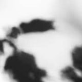 Shadow Calligraphy 16