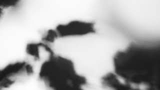 Shadow Calligraphy 16