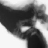 Shadow Calligraphy 17