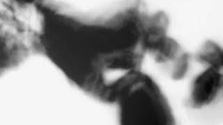 Shadow Calligraphy 17