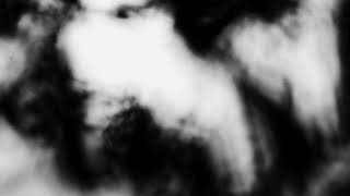 Shadow Calligraphy 18