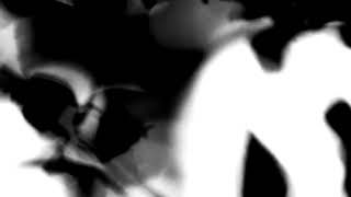 Shadow Calligraphy 19