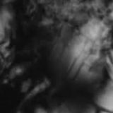 Shadow Calligraphy 2