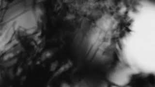 Shadow Calligraphy 2