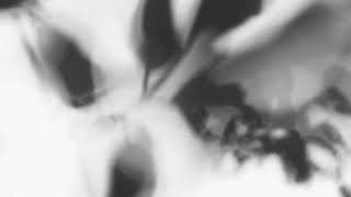 Shadow Calligraphy 20