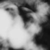 Shadow Calligraphy 21