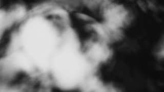 Shadow Calligraphy 21