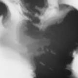 Shadow Calligraphy 22