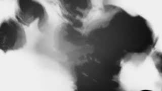 Shadow Calligraphy 22