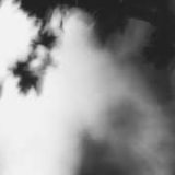 Shadow Calligraphy 24