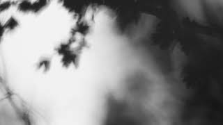 Shadow Calligraphy 24